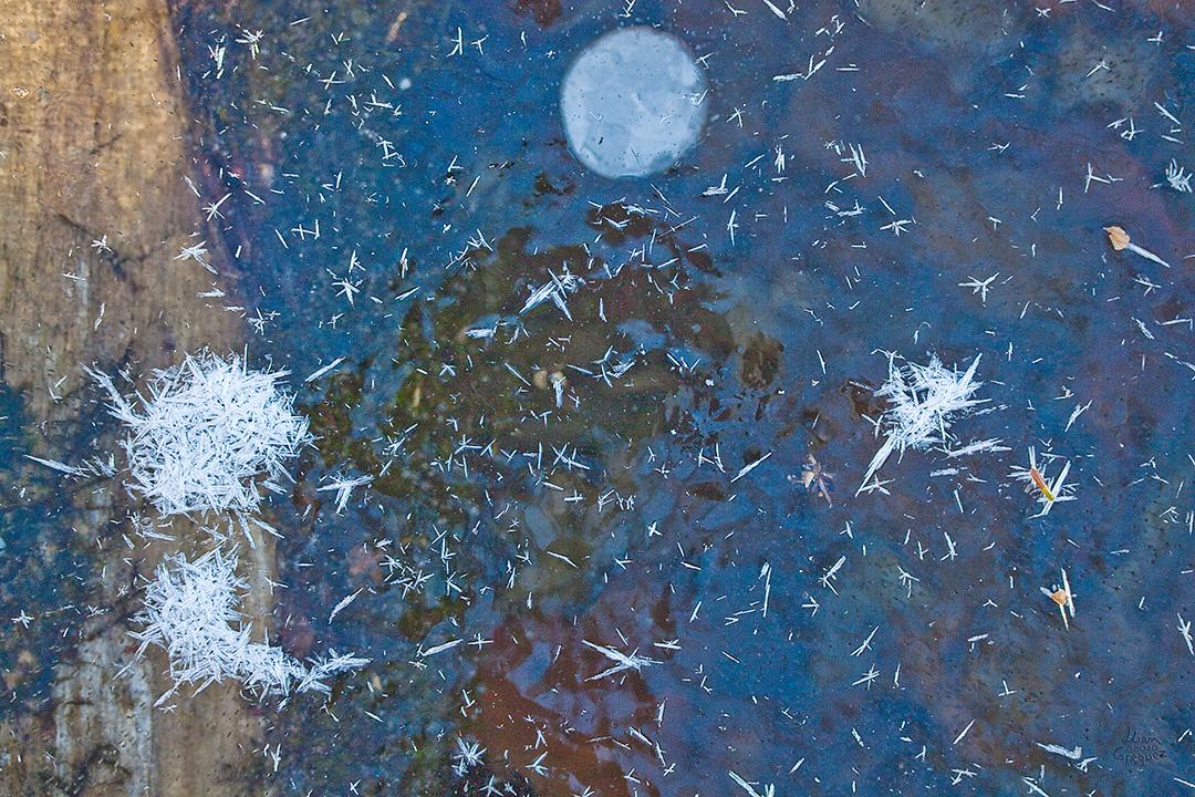 Catskill mountain winter Ice macro photograph by Lliam Greguez 2010