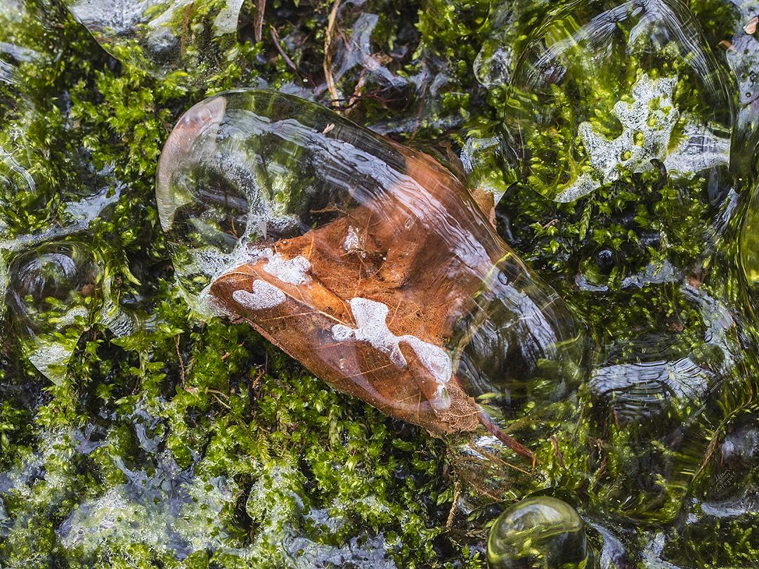 LliamGreguez Catskills iceformation ice iceart FrozenWater winter nature Stream naturephotography earthoutdoors roamtheplanet swivelable AgoraGallery Artist Macro Photography str12ng