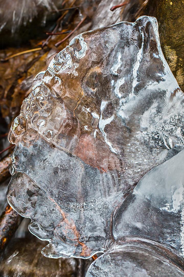 LliamGreguez Catskills iceformation ice iceart FrozenWater winter nature Stream naturephotography earthoutdoors roamtheplanet swivelable AgoraGallery Artist Macro Photography str12ng