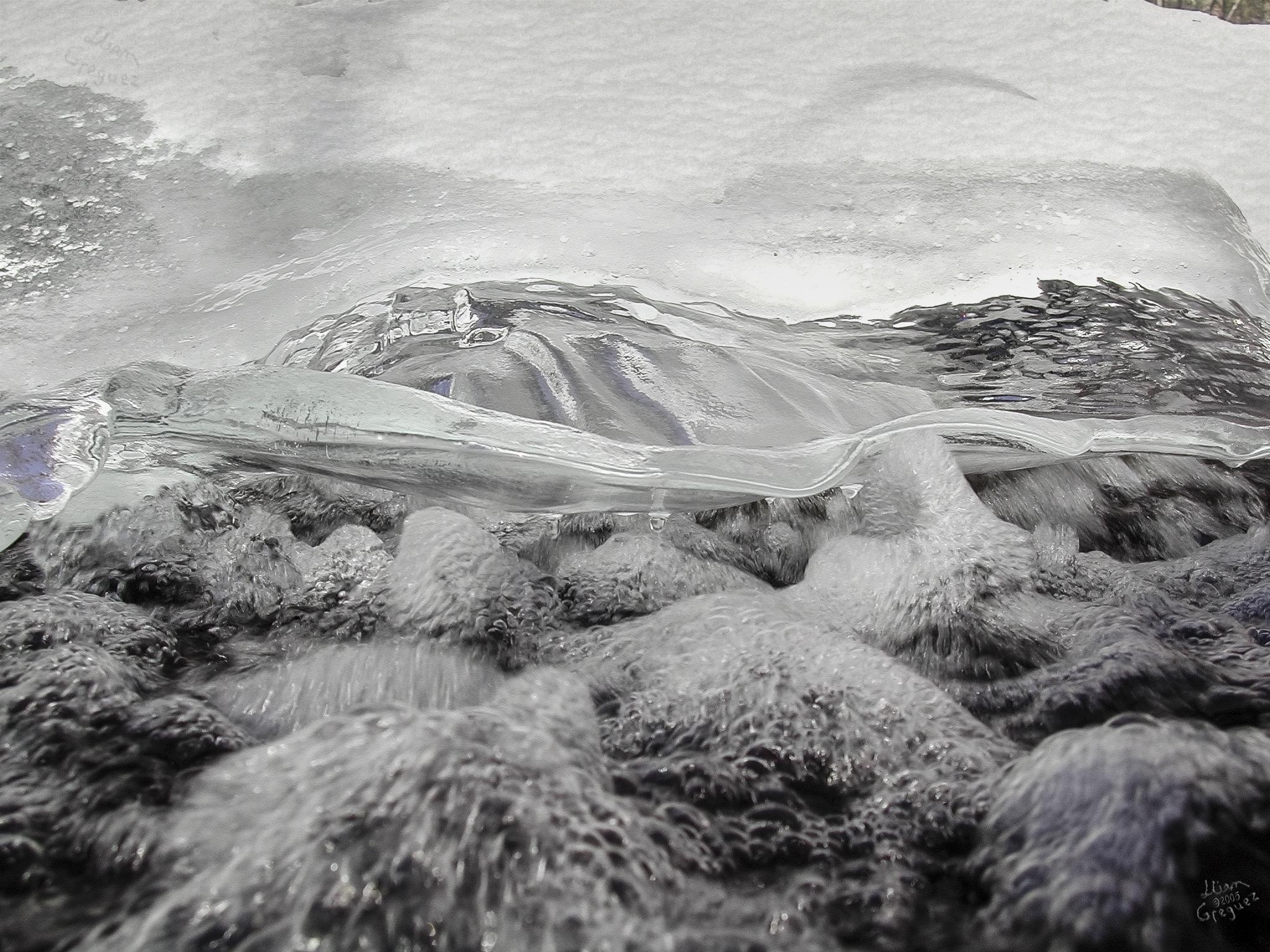 Catskill mountain winter Ice macro photograph by Lliam Greguez 2005
