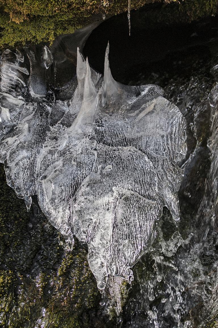 LliamGreguez 2025 Catskills iceformation ice iceart FrozenWater winter nature Stream naturephotography earthoutdoors roamtheplanet  Artist Macro Photography Str12ng Swivelable