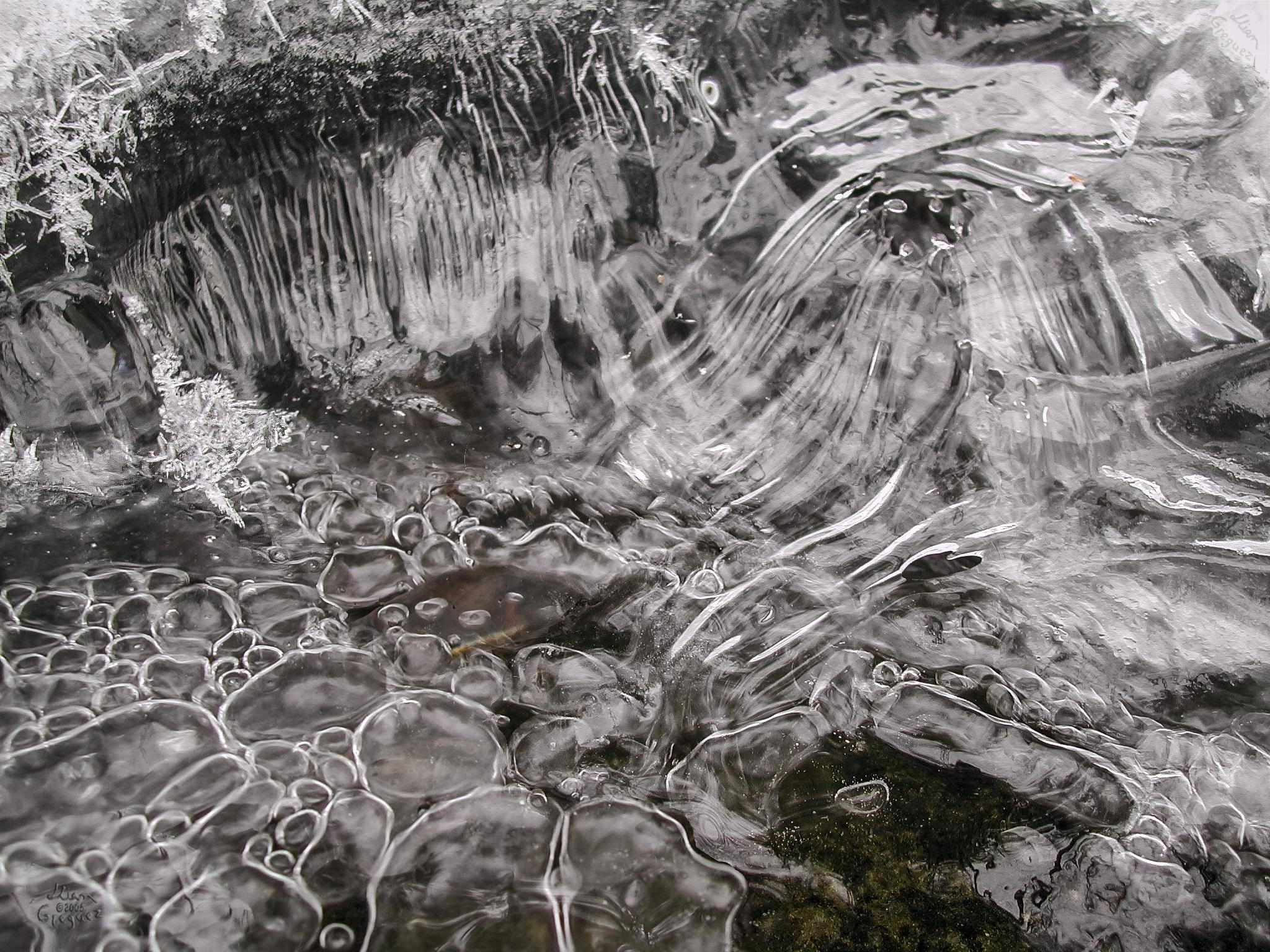 Catskill mountain winter Ice macro photograph by Lliam Greguez 2005