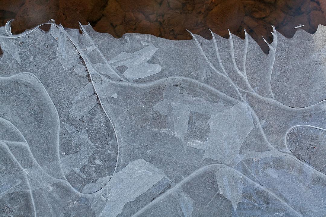 2012 Ice Catskill Mountain Winter Macro Photo