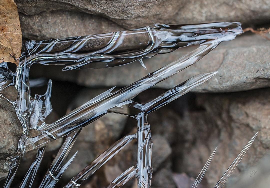 LliamGreguez Catskills iceformation ice iceart FrozenWater winter nature Stream naturephotography earthoutdoors roamtheplanet swivelable AgoraGallery Artist Macro Photography str12ng
